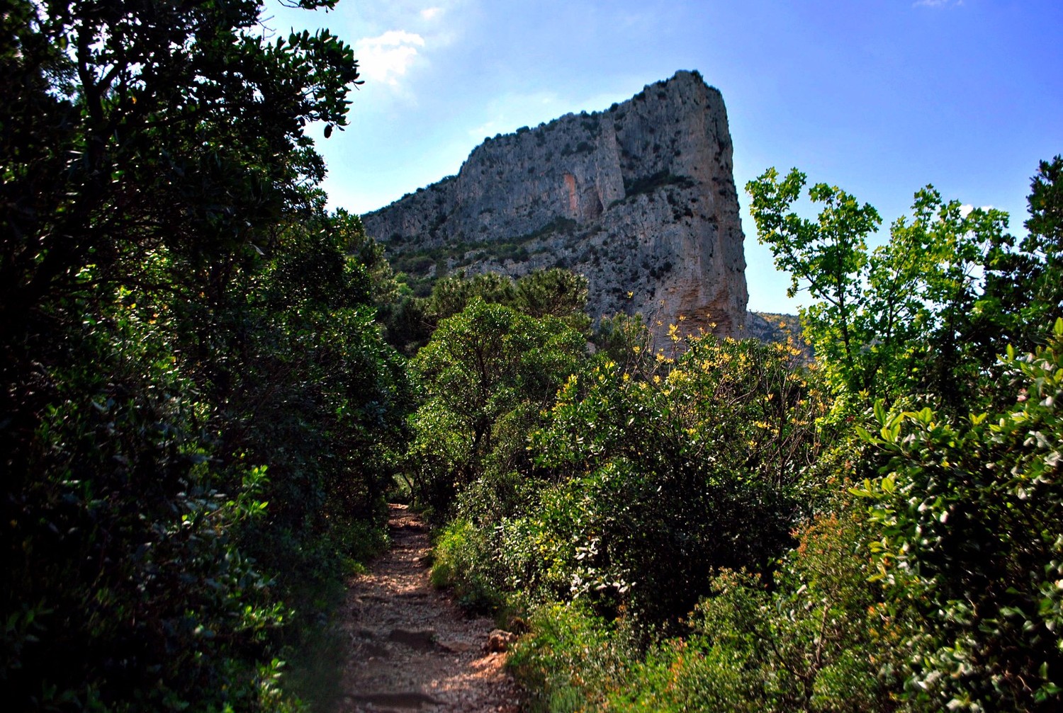 Le Roc de la Bissonne