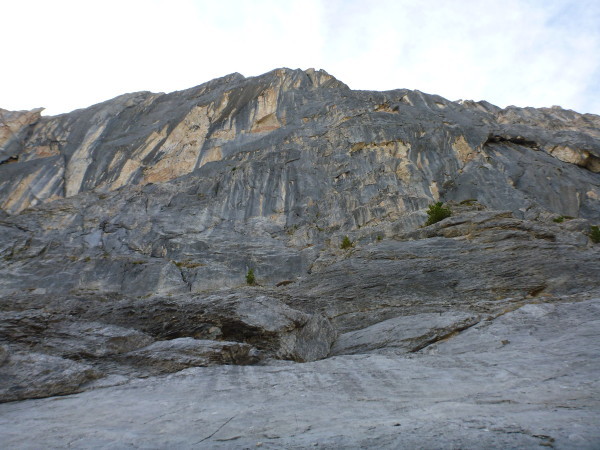 Au pied du mur