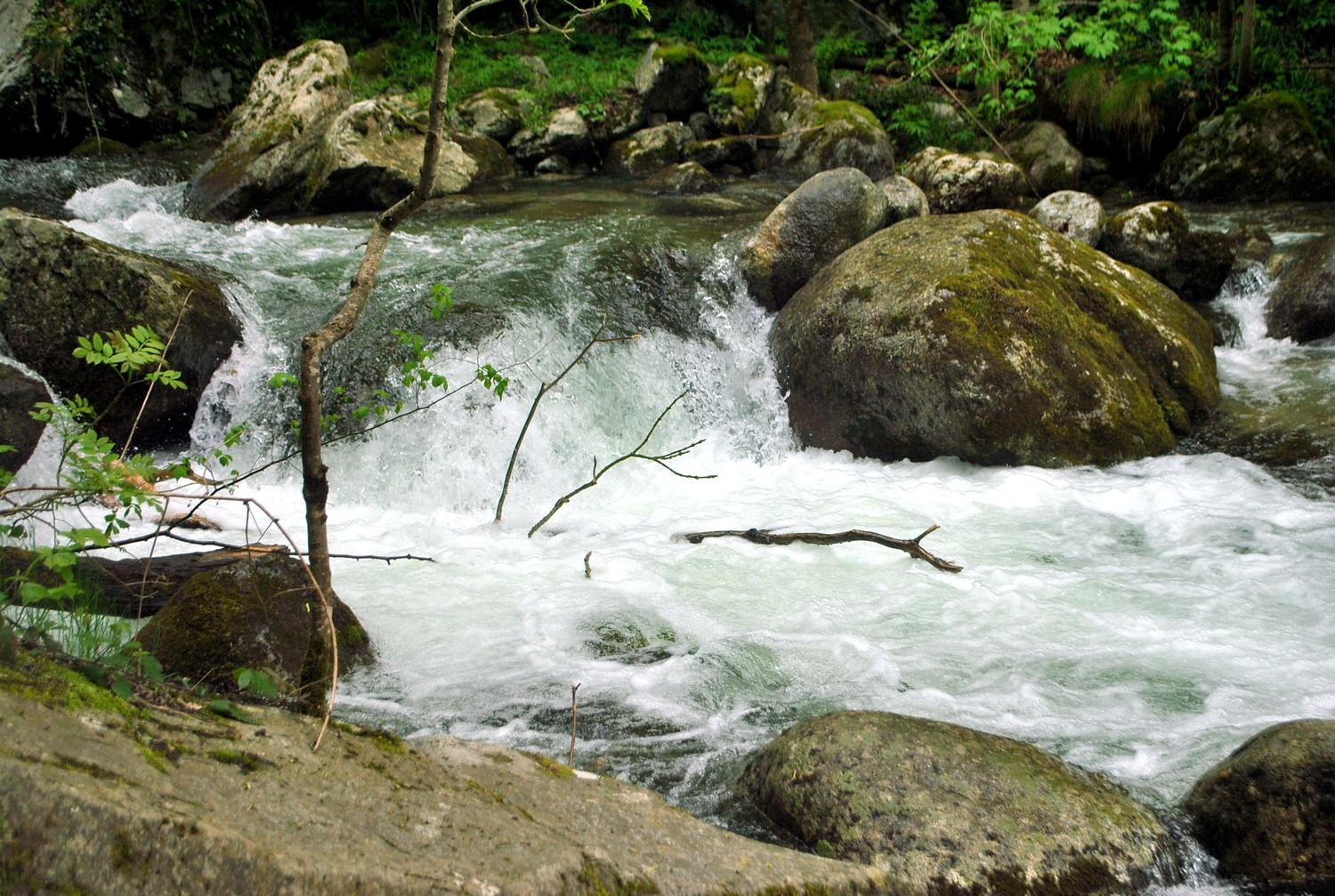 Et au milieu coule une rivière....
