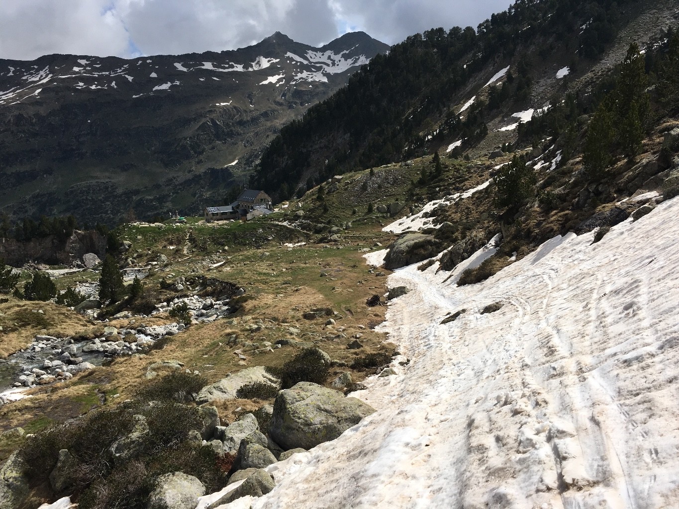 Le retour au refuge