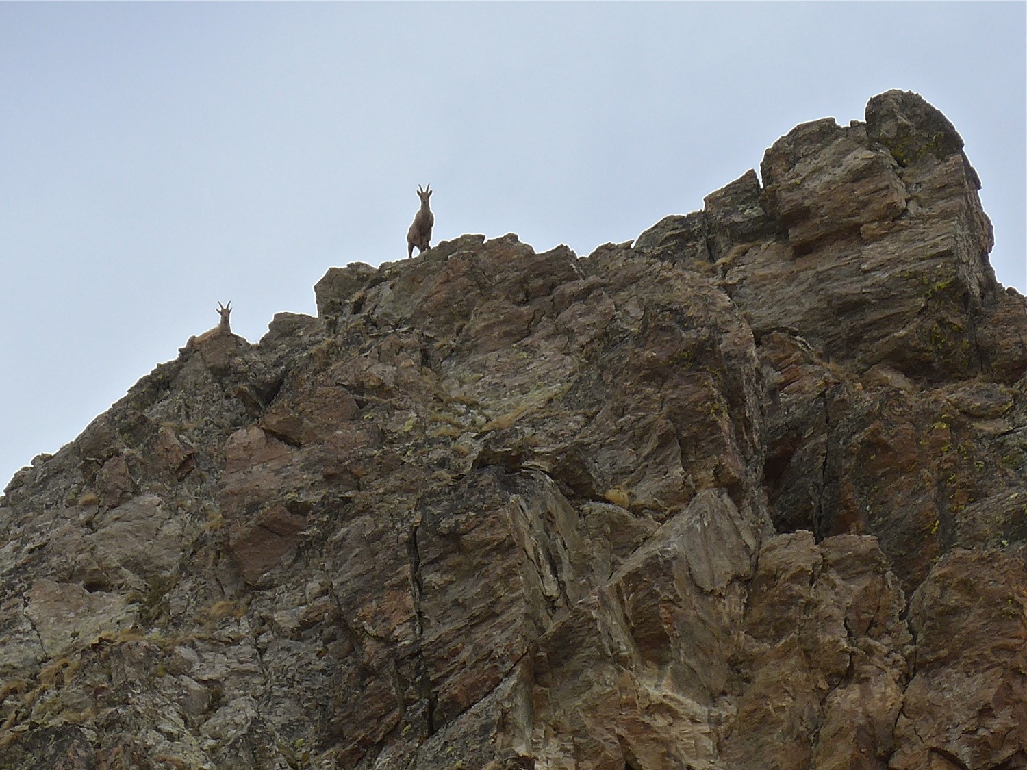 On me surveille de Haut.