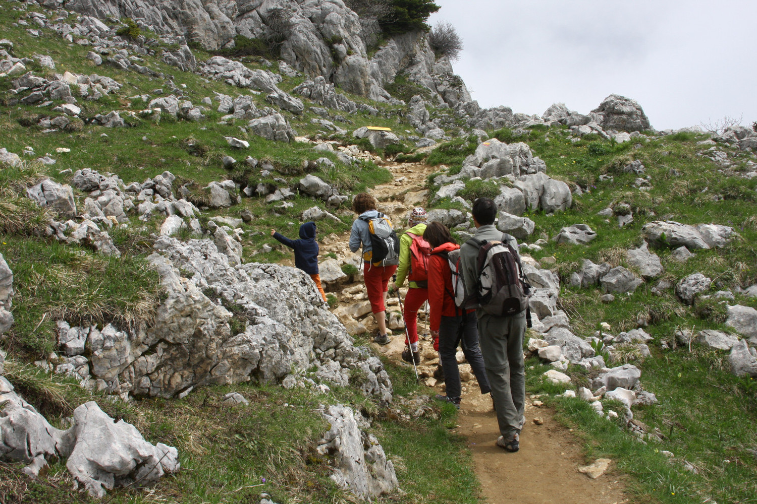 Sur l'arête S du Charmant Som