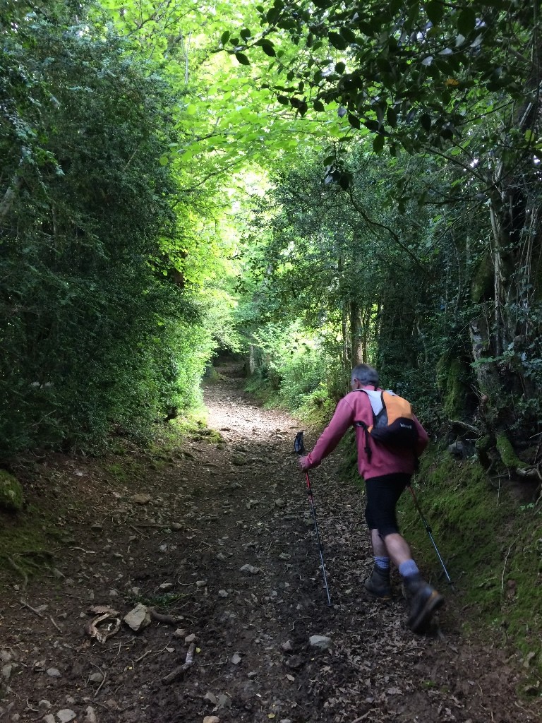 Chemin à la Borde de Mirande