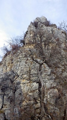Aiguille Aiguille