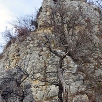 Aiguille