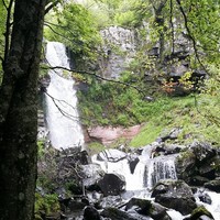 Cascade du saut de la truite