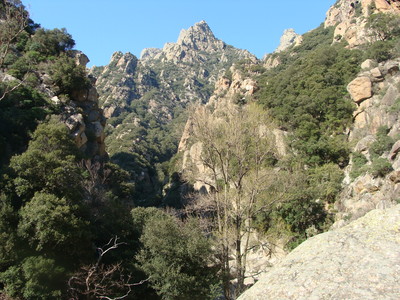 Caroux