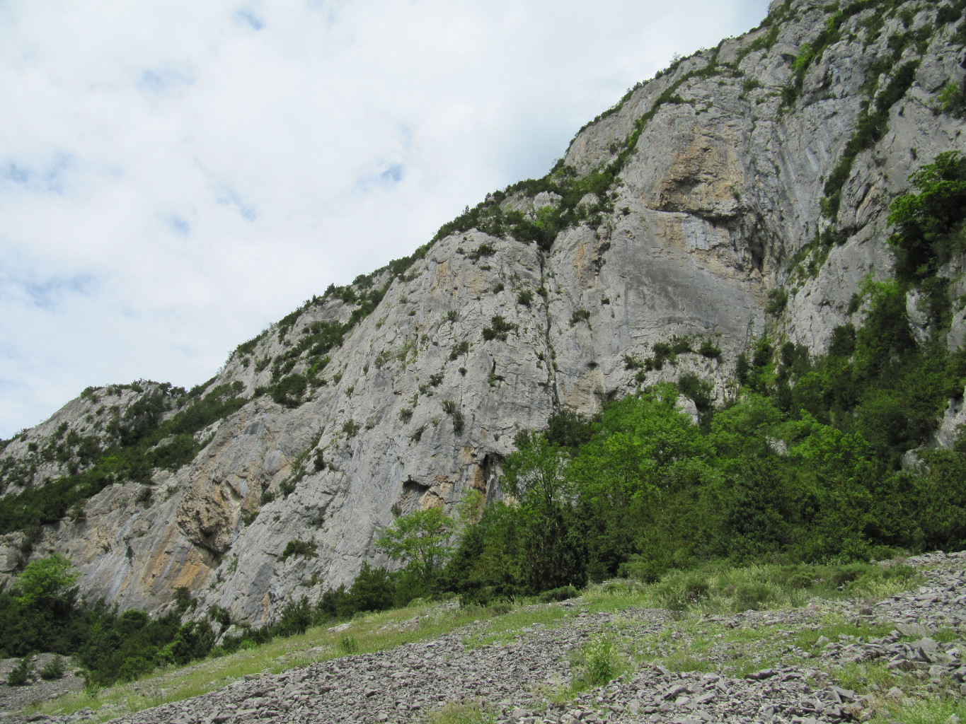 Côté gauche de la falaise