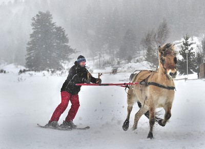 Ski Joering Lioran - V. Soule