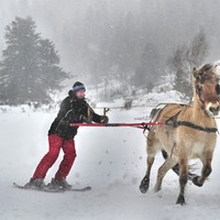Ski Joering Lioran - V. Soule