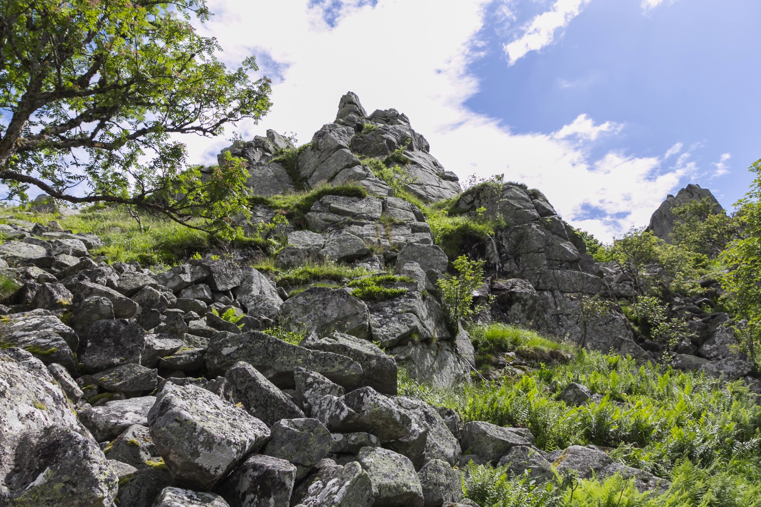 Clochers du petit Hohneck