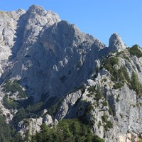 Zeleniške špice