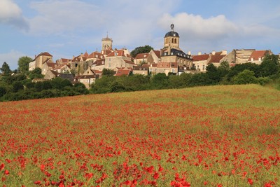 coquelicot4