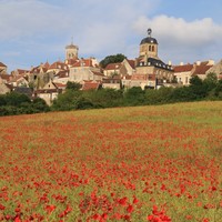 coquelicot4