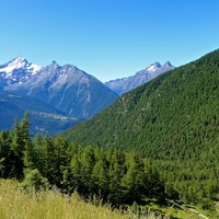 Sortie de la forêt