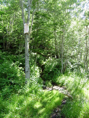 Prendre à G après le panneau (chemin de JoJo) Prendre à G après le panneau (chemin de JoJo)