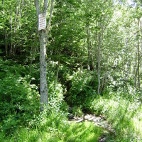 Prendre à G après le panneau (chemin de JoJo)
