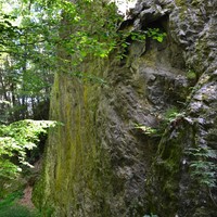 Arrivée
