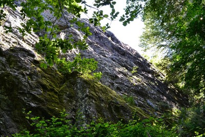 Au pied des voies Au pied des voies