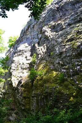 Au pied des voies Au pied des voies