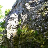 Au pied des voies