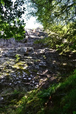 Au pied des voies Au pied des voies