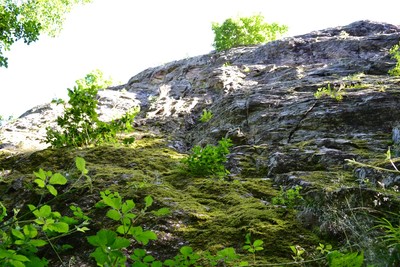 Au pied des voies Au pied des voies