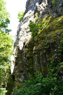 Au pied des voies Au pied des voies