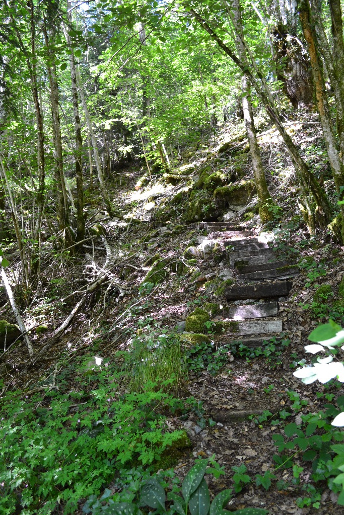 L'accès passe par un petit escalier