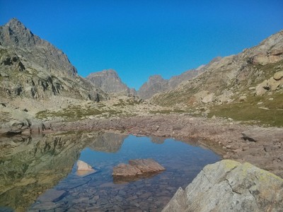 reflet