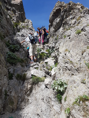 petit pas du Mont Colomb à descendre, plus facile qu'on ne le pense