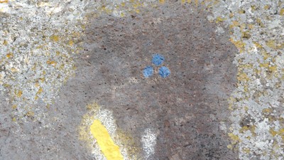 A un moment une croix jaune sur la gauche, la prendre en suivant des traces bleus, attention un peu effacées au départ, bien les suivre jusqu'au Aven