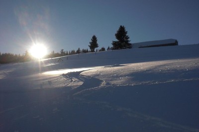 virage dans les Vosges virage dans les Vosges