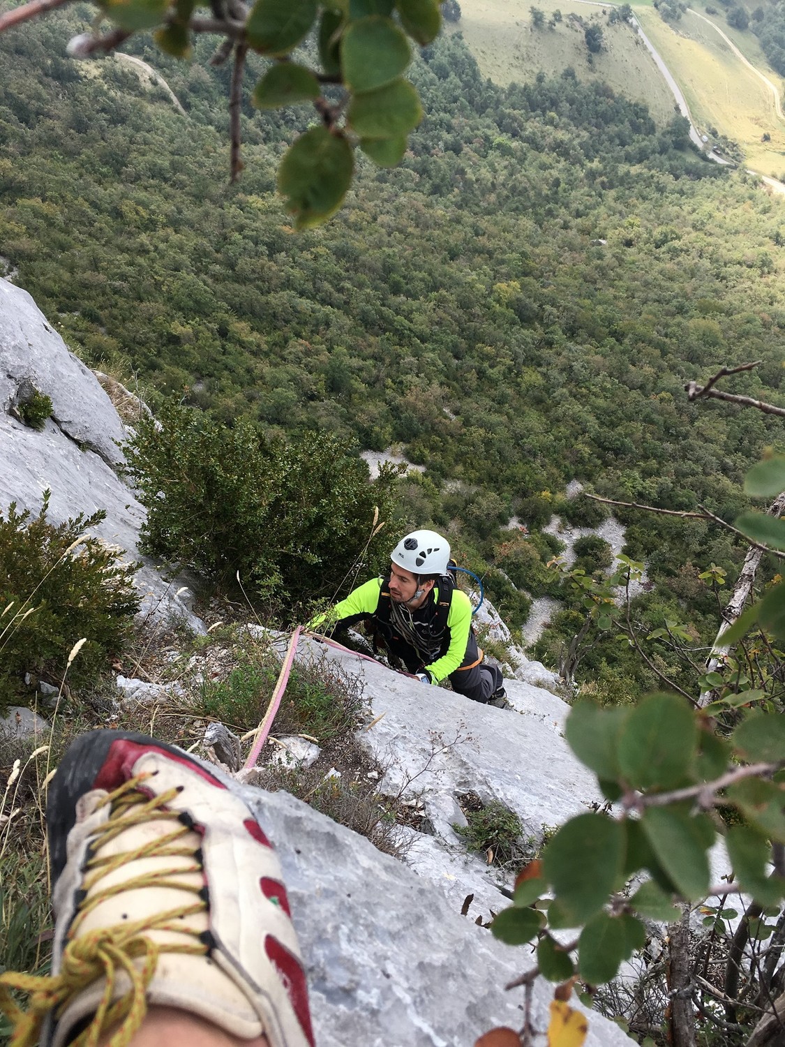 Vercors - La Grande Cournouse - Voie du Dièdre - L2, calcaire et buis