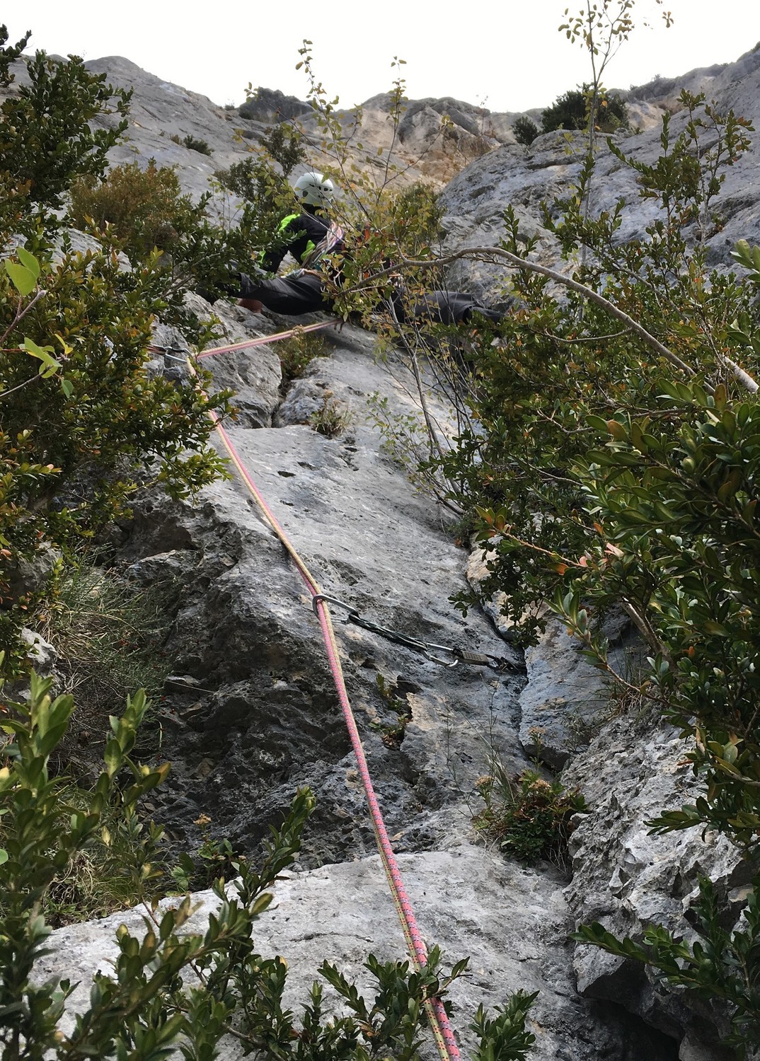 Vercors - La Grande Cournouse - Voie du Dièdre - L5, toujours pas mal de buis