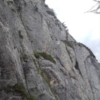 Longueur 1