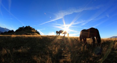 Matin calme dans les Pyrénées Matin calme dans les Pyrénées