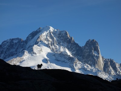 La valeur n'attend pas le nombre des années La valeur n'attend pas le nombre des années