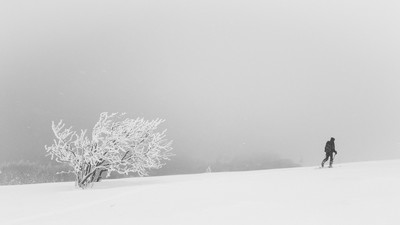 Poussé par le vent Poussé par le vent