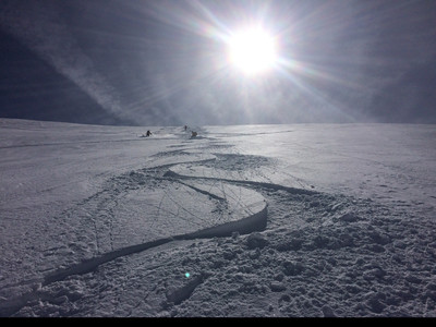 Tournelon blanc Tournelon blanc