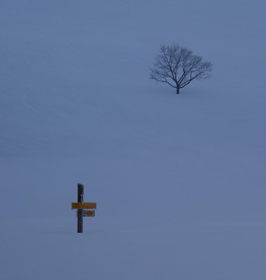 Duo... Duo...