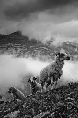 Refuge du Grenairon. Aout 2015 Refuge du Grenairon. Aout 2015