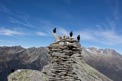 Gardiens du Signal de Forbes Gardiens du Signal de Forbes