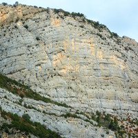 Paret Bucòlica