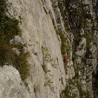 Renato dans L2 de "Jewel" au Schilt.