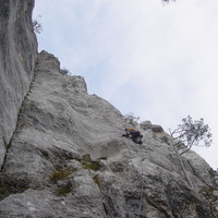 Nico dans "Korolev" au Schilt.