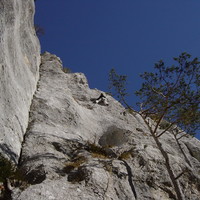 Renato dans "Lobosch" au Schilt.