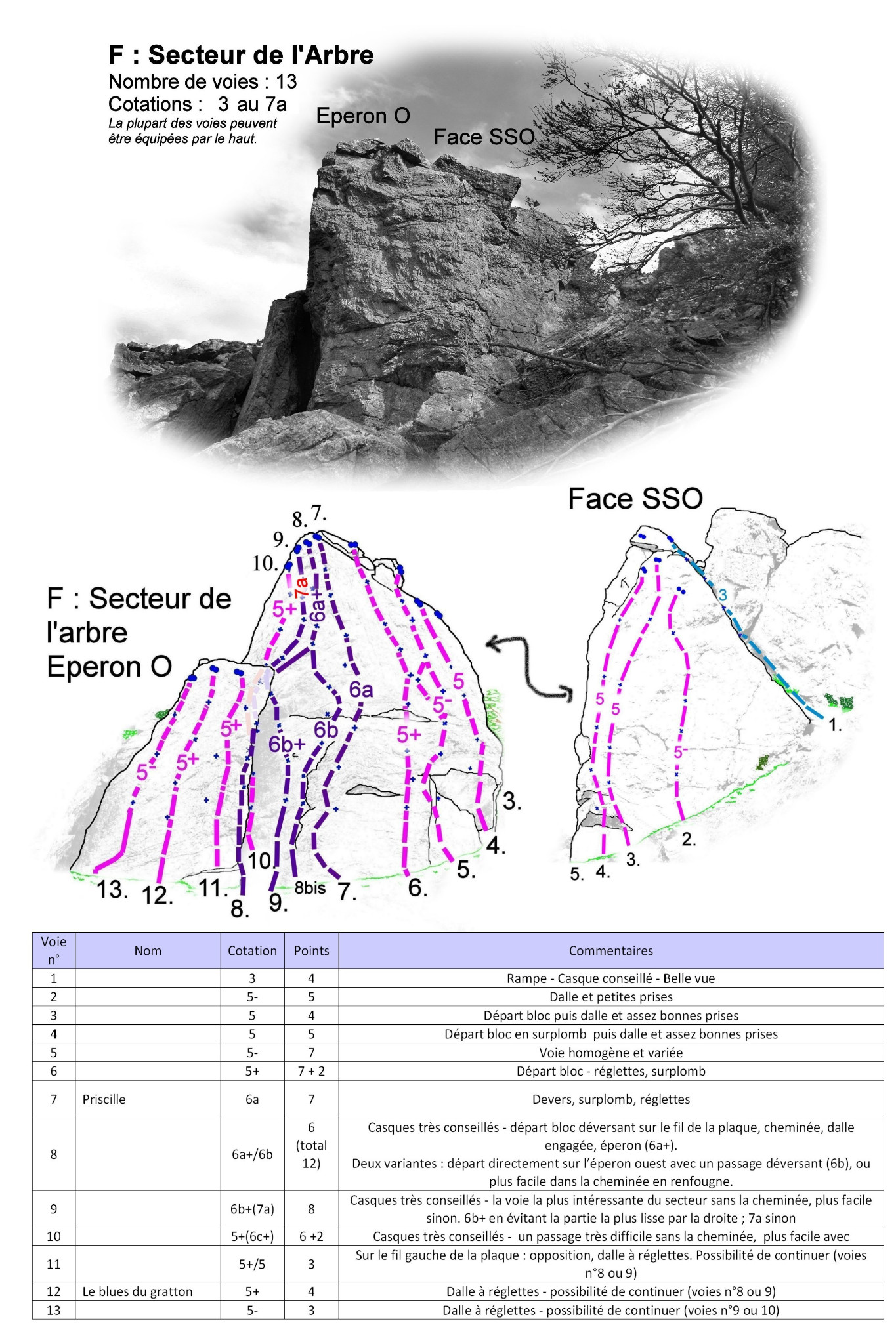 Secteur de l'arbre - topo