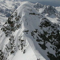 2009, année fastueuse...