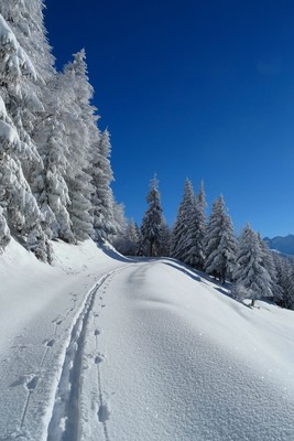 [PhotoSophie2017] Mont d'en haut